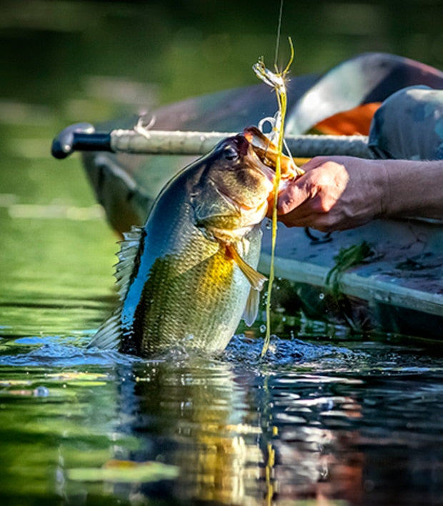 Fall Fishing for Bass